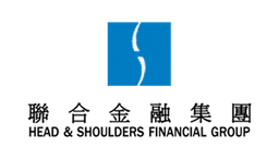 Head & Shoulders Financial Group logo