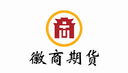 HUISHANG FUTURES logo