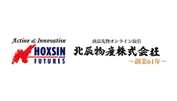 HOXSIN FUTURES logo