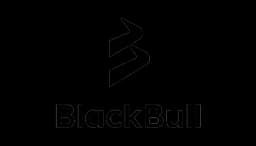 Black Bull Group Limited logo