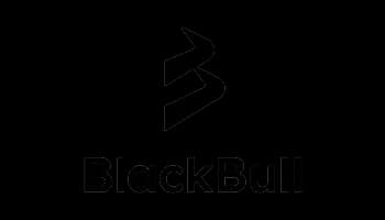 BlackBull logo