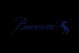 Bancara logo