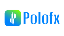 POLO BROKERS SRL logo