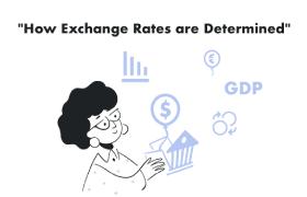 How Exchange Rates Are Determined