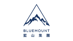 BLUEMOUNT FINANCIAL GROUP LIMITED logo