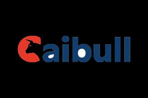 Caibull logo