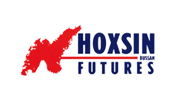 HOXSIN FUTURES logo