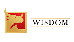 Wisdom Technology Services Limited logo