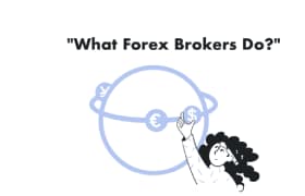 What Forex Brokers Do