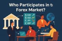 Who participates in the forex market?