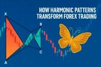 How Harmonic Patterns Transform Forex Trading