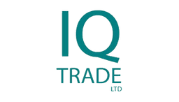 I&Q Financial LLC logo