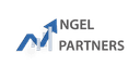 NGEL PARTNERS logo