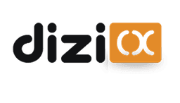 Dizicx Global Limited logo