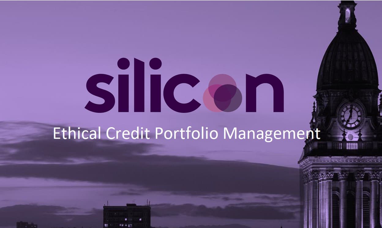 Silicon Marketing Limited enters administration with loan agreements unaffected