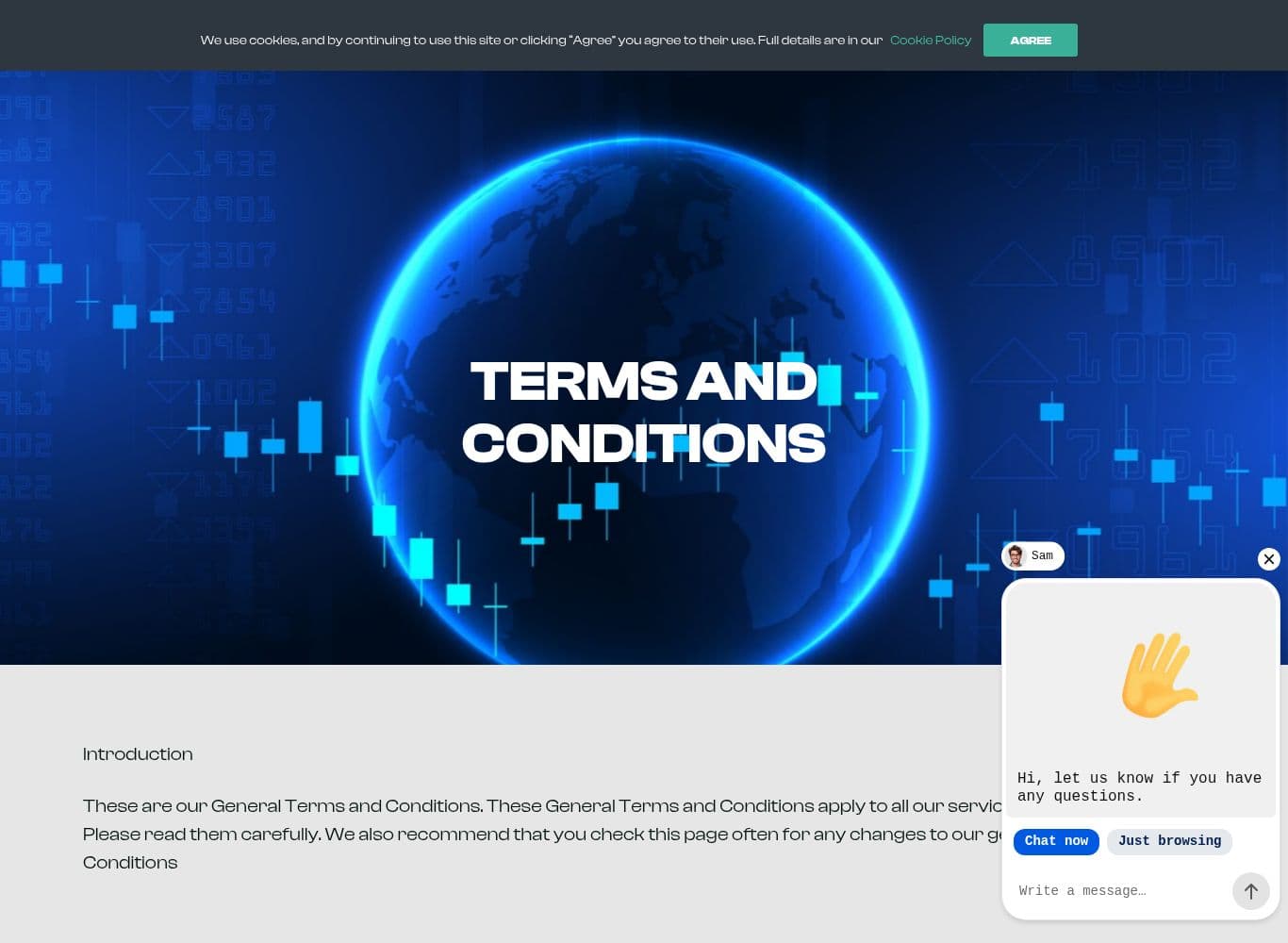 Terms and Conditions naming the legal entities and carrying the at-any-time amendment right
