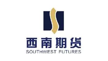 SOUTHWEST FUTURES logo