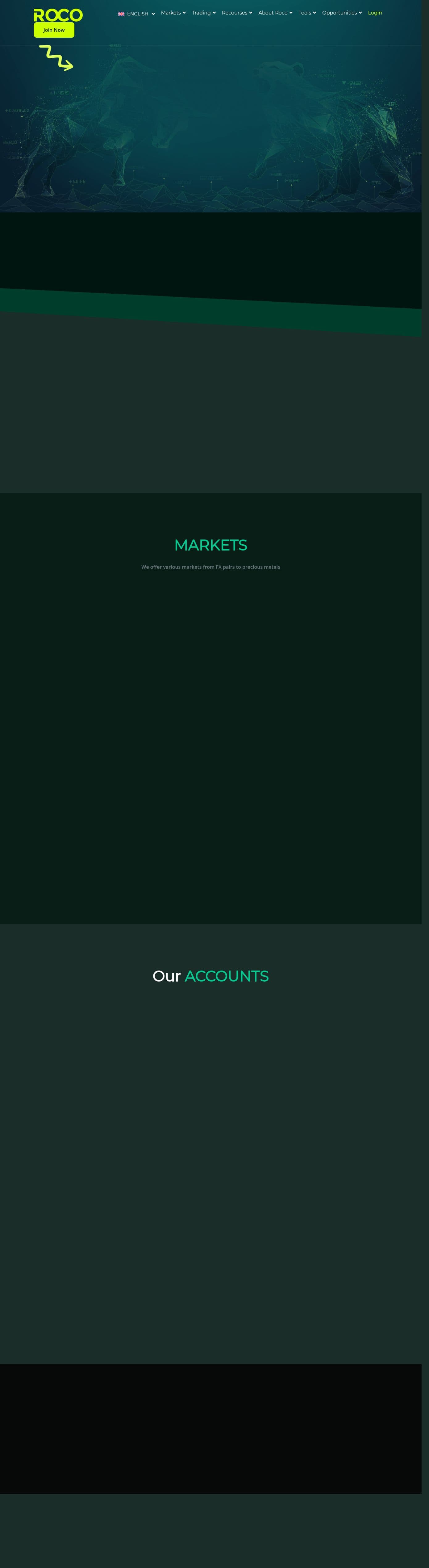 Homepage of rocobroker.com as we captured it