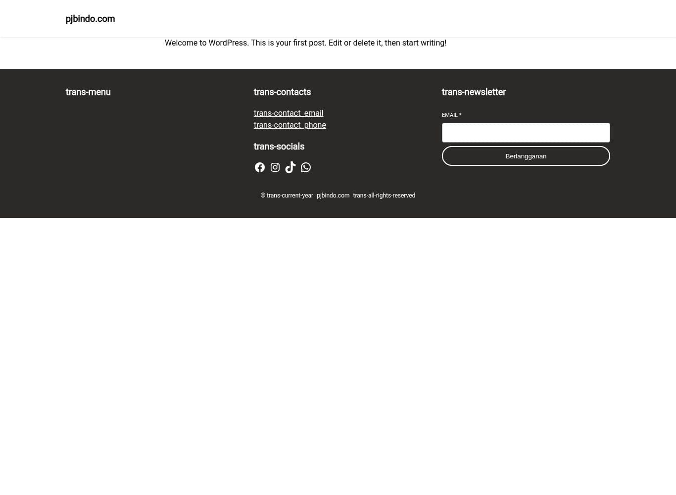 Homepage of pjbindo.com as we captured it